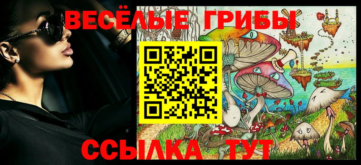 Галлюциногенные грибы MAGIC MUSHROOMS  купить закладку  Ленинск-Кузнецкий  Псилоцибиновые грибы прущие грибы  Вход с VPN 